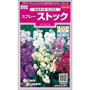 スプレーストック カルテットミックス 1袋