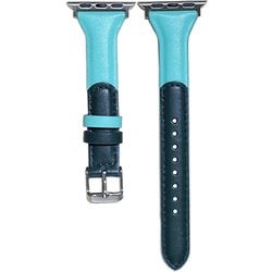 PSNTWSW6L-MGR [Apple Watch 42/44mm 用 ツインカラースリム 交換バンド ミント・グリーン]