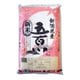 精米 新潟県産五百川 5㎏ 令和4年産