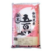 精米 新潟県産五百川 5㎏ 令和4年産