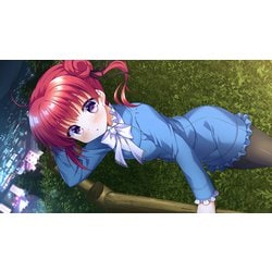 Nintendo Switch - ガラス姫と鏡の従者（限定版） Switch 新品未開封 Nintendo Switch - Switch RE:D Cherish レッドチェリッシュ