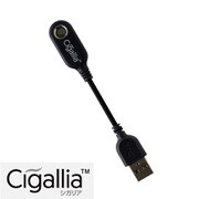 Cigallia バッテリー専用充電ケーブル ブラック 3R-CPC01BK
