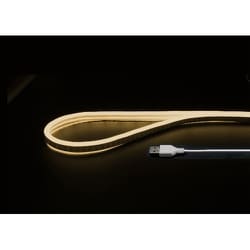 ネオンチューブライト 電球色 2m NTL012WA