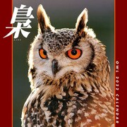 CL-386 [2022年カレンダー 梟 ～ふくろう～]