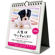 CL-388 [2022年カレンダー 人生はワンチャンス！]