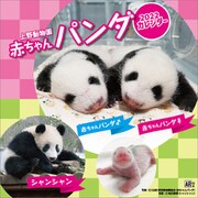 CL-397 [2022年カレンダー 上野動物園赤ちゃんパンダ]