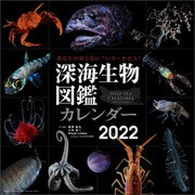CL-803 [2022年カレンダー 深海生物図鑑]