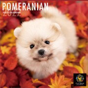 CL-1218 [2022年カレンダー PICT WAN ポメラニアン]