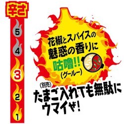 ヨドバシ Com 日清食品 日清ウマーメシ 麻辣火鍋飯 95g 通販 全品無料配達