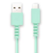 Type-Cケーブル 0.2m ブルー FS-UAC020-BL