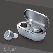完全ワイヤレスイヤホン ZERO Bluetooth対応 シルバー YBE-38-SV