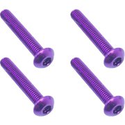 NAR-318P 3x18ヘックスボタンビスパープル/4本入