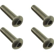 NTR-420 4x20ヘックスボタンビス4本入