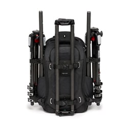 マンフロット Manfrotto MB PL2-BP-FX-L [PL フレックスローダー