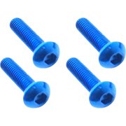 NAR-310BY 3x10ヘックスボタンビスノウブルー/4本入
