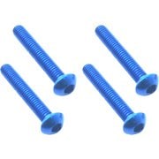 NAR-318BY 3x18ヘックスボタンビスノウブルー/4本入