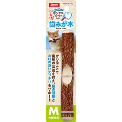 歯みが木 M