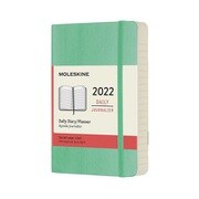 2022年1月から12月までの12か月ダイアリー アイスグリーン Pocket デイリー ソフトカバー DSK4612DC2Y22