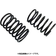 SGW-5S ローダウンダンパースプリング26LソフトCVA TRF