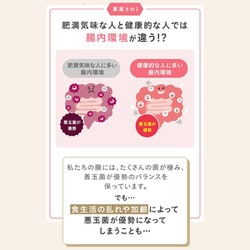 ファンケル　内脂サポート　90日分 ファンケル 内脂サポート <機能性表示食品> 90日分 [FANCL