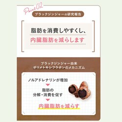 ファンケル 内脂サポート 30日分 90粒 ×3 ☆お徳用☆FANCL 内脂サポート 90日分【90粒×3袋】（機能性表示