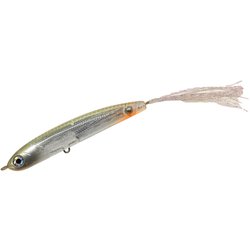 ハンクルジョーダン 琵琶湖マジ！ワカサギ