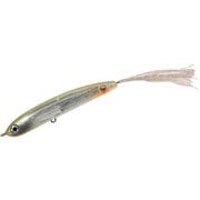 ハンクルジョーダン 琵琶湖マジ！ワカサギ