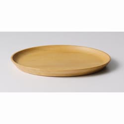 日本製 TASAI 食器 プレート [S] プレーン レンジ・食洗機不可 ギフト箱入り