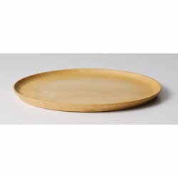 日本製 TASAI 食器 プレート [L] プレーン レンジ・食洗機不可 ギフト箱入り