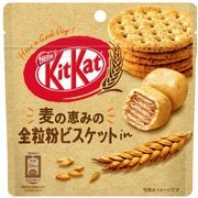 キットカット ビッグリトル 全粒粉ビスケットin パウチ 45g