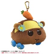PUI PUI モルカー ふわふわパスケース チョコ [キャラクターグッズ]