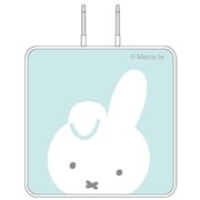 USB/USB Type-C ACアダプタ ミッフィー ダーン MF-253C