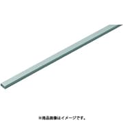 EML-1G10 [VVFケーブル用Eモール1号 10本]