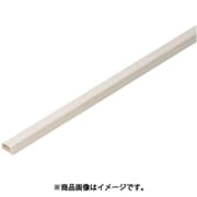 EYP-4M10 [デンコープロテクタ屋外用4号 スマートタイプ 10本]