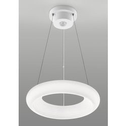 LEDペンダント リングシリーズ ワイド調色タイプ ～12畳 NLEP12000A-LC