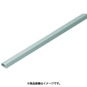 YP-4XG10 [デンコープロテクタ4号 スマートタイプ 10本]
