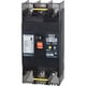 123EC06304 [Eシリーズ 漏電遮断器 経済タイプOC付 60A-30mA 表面形]