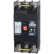 123EC12W24 [Eシリーズ 漏電遮断器 経済タイプOC付 125A 表面形]