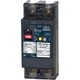 62EC6030F [Eシリーズ 経済タイプ漏電遮断器 2P2E60AF・OC付30mA・埋込形]