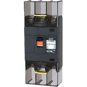 B252EA25 [Eシリーズ 配線用遮断器 経済タイプ 2P2E250AF・表面形]
