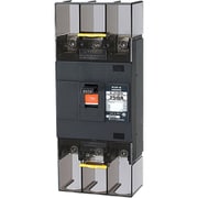 B253EA25P [Eシリーズ 配線用遮断器 経済タイプ 3P3E250AF・表面形・警報スイッチ付]
