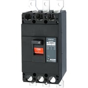 B402EA30 [Eシリーズ 配線用遮断器 経済タイプ 2P2E400AF・表面形]