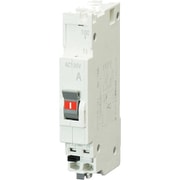 BC1NA20 [パールテクトブレーカー2P1E30AF コード短絡保護用瞬時遮断機能付]