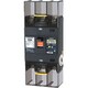BU25301EA25V [単3中性線欠相保護付配線用遮断器 3P2E250AF・表面形]