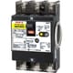 BU5301EC30V [単3中性線欠相保護付配線用遮断器 3P2E50AF リード線付]