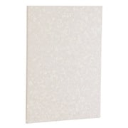 証書ファイルA4 ビニールクロス貼り片面パッド入り/白 FSV-A4C-W