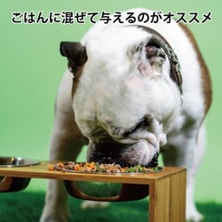 ヨドバシ.com - アニマルズアパスキャリー Animals' Apawthecary