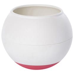 OPPO フードボールレギュラー チェリー