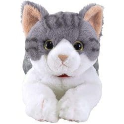 ひざねこ ぬいぐるみ(S) チャシロ - サンレモン