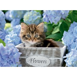 ヨドバシ Com ラベンスバーガー Ravensburger 124 花と子猫 ジグソーパズル 300ピース 通販 全品無料配達